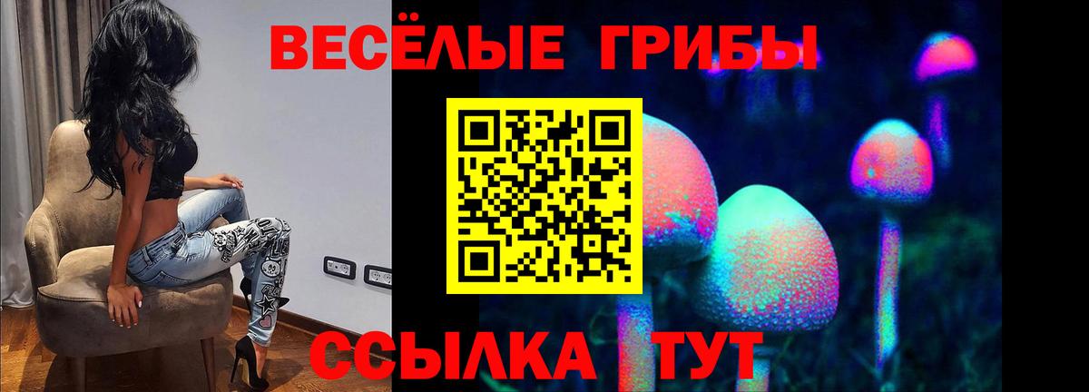 Иваново  Галлюциногенные грибы мицелий  цены   Вход с VPN 