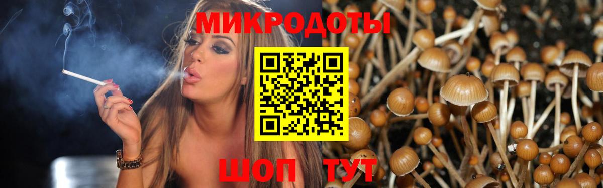Псилоцибиновые грибы Magic Shrooms Иваново
